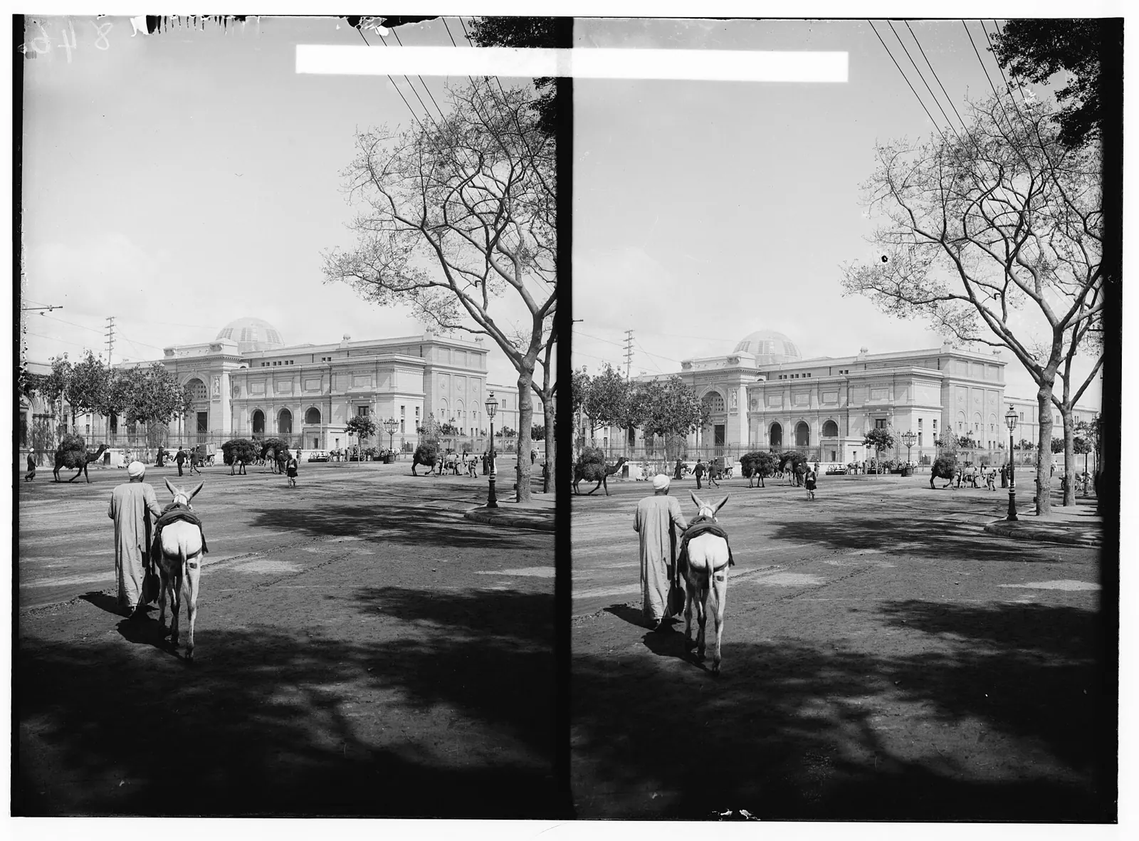 Historic Egyptian Museum associated with long-running cataloguing